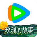 女神卫生巾老板娘是谁